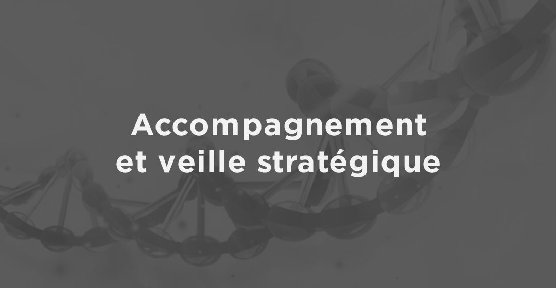 Accompagnement et veille stratégique