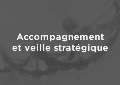 Accompagnement et veille stratégique