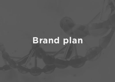 Brand plan