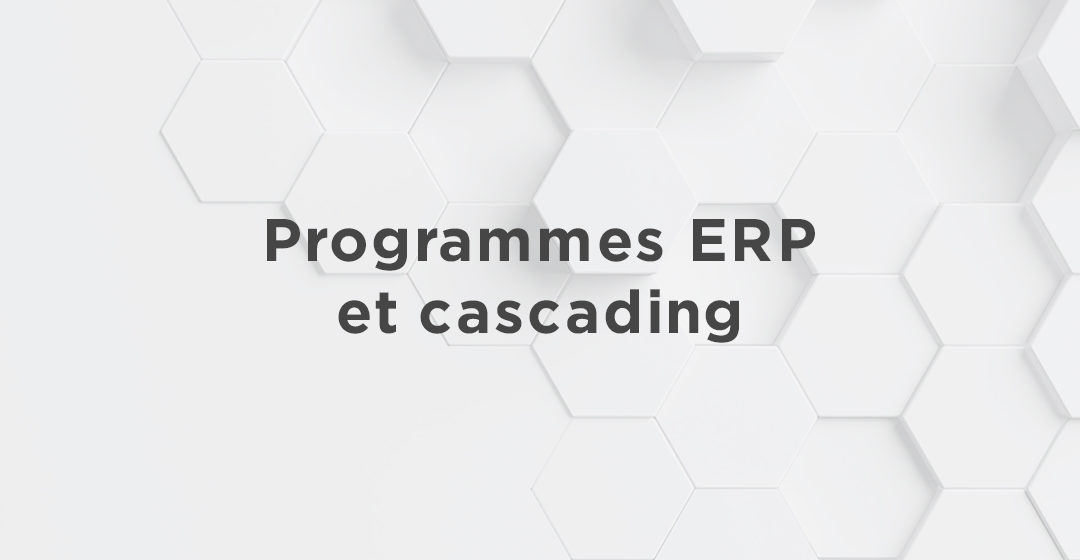 Programmes ERP et cascading