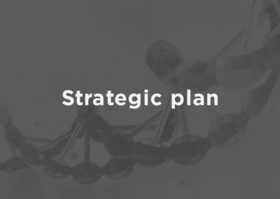 Strategic plan